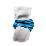 Basic Swim Brief - Tidal Stripe
