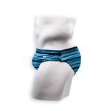 2 Inch Flat Front Swim Brief - Tidal Stripe