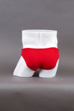 HAC 2" Side Flat Front Brief - Silver Maple Leaf Rear