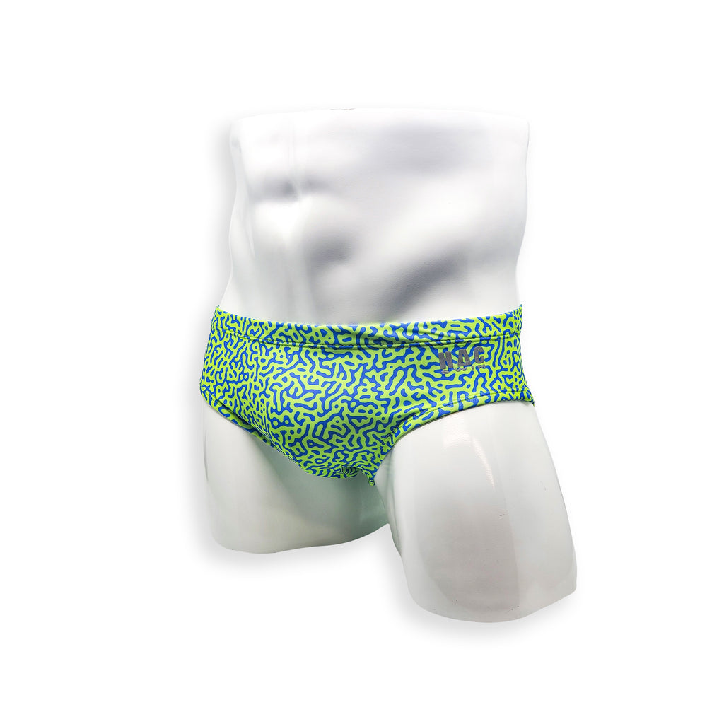 Mens Swimsuit Basic Swim Brief in Green Tahquitz Canyon Print for Swimming Aesthetic Bodybuilding Posing or Mens Pole Dance
