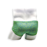 Mens Swimsuit Vintage Cut Swim Brief in Green Tahquitz Canyon Print for Swimming Aesthetic Bodybuilding Posing or Mens Pole Dance