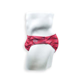 2 Inch Flat Front Swim Brief - Wobbly Wave Pink