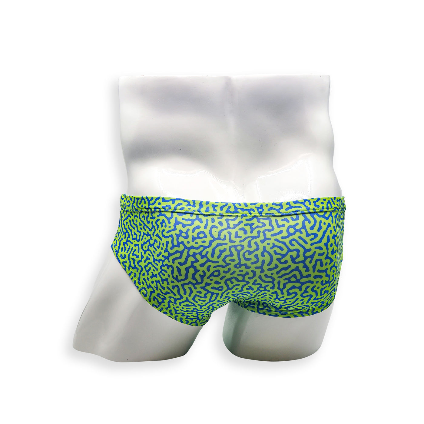 Mens Swimsuit Basic Swim Brief in Green Tahquitz Canyon Print for Swimming Aesthetic Bodybuilding Posing or Mens Pole Dance