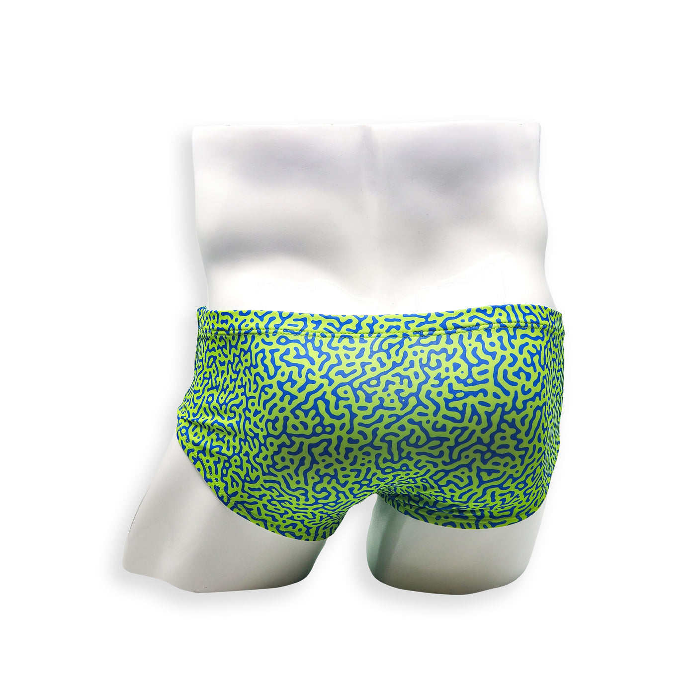 Mens Swimsuit Vintage Cut Swim Brief in Green Tahquitz Canyon Print for Swimming Aesthetic Bodybuilding Posing or Mens Pole Dance